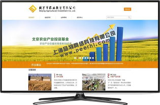松江地區(qū)網(wǎng)站服務(wù)全攻略 從設(shè)計、改版到維護(hù)與咨詢